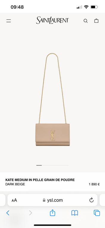 Borsa ysl