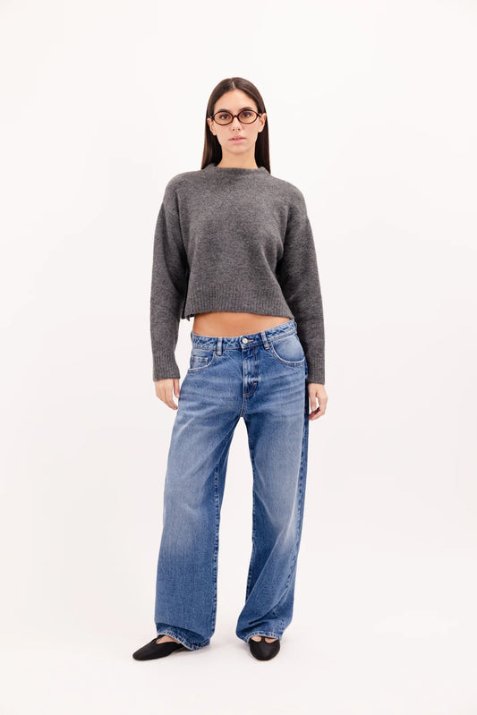 Jeans Icon Denim